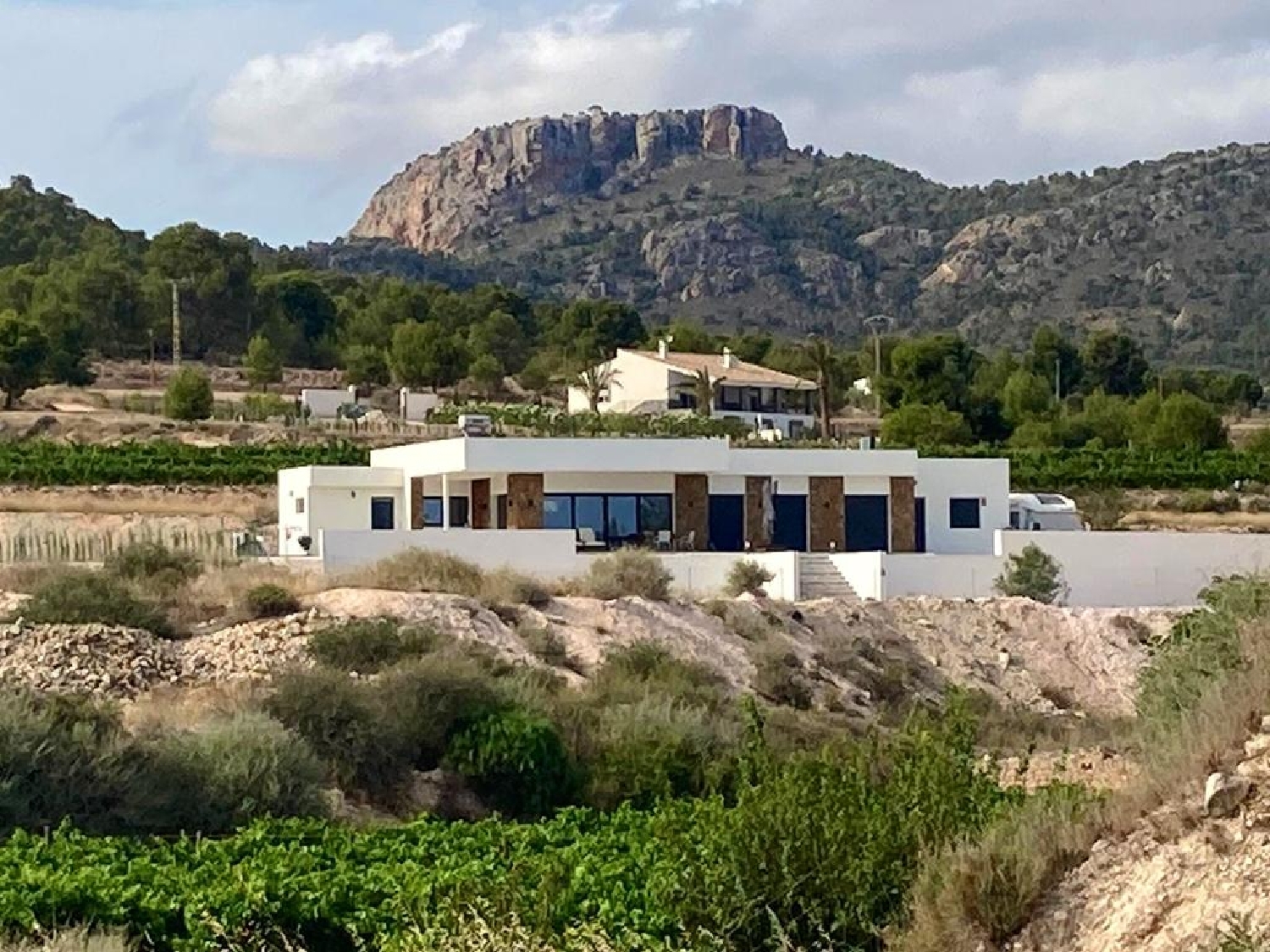  à vendre villa Pinoso Vinalopó Mitjà 1