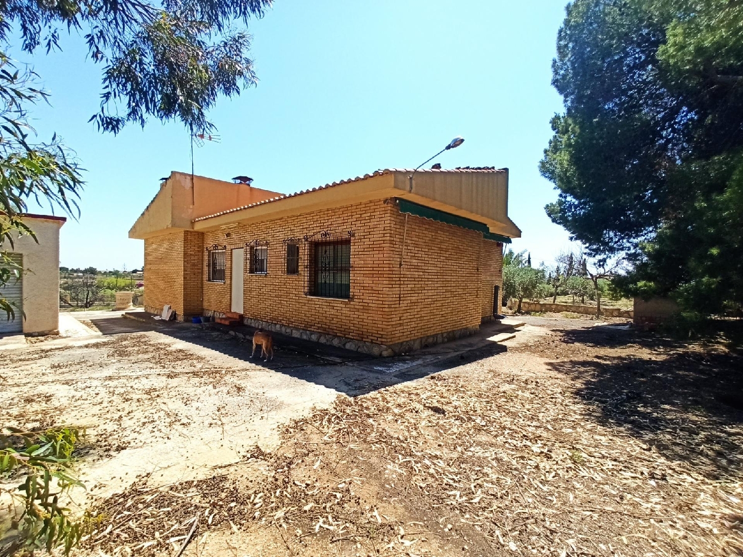  kaufen Villa Pla De Xirau Alacantí 5