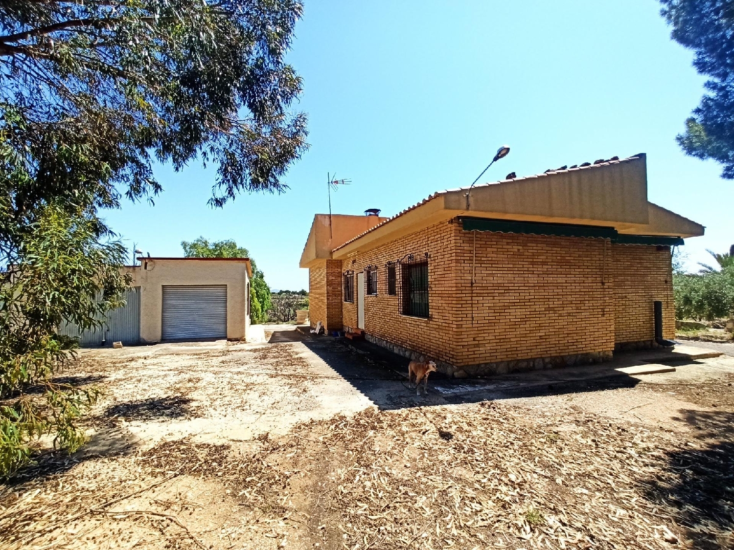  kaufen Villa Pla De Xirau Alacantí 3