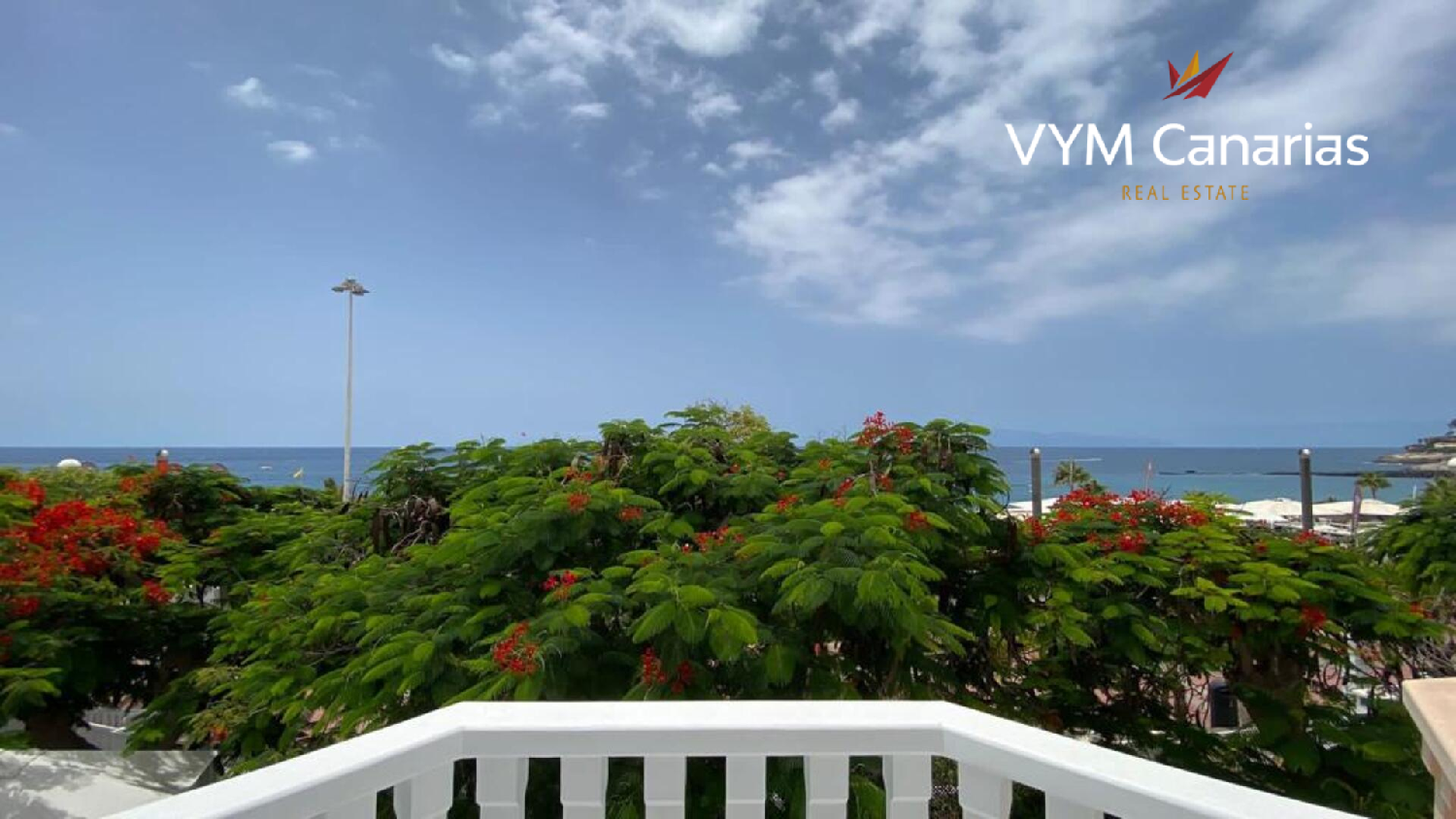  kaufen Villa Playas De Fañabé Zona Sur 1