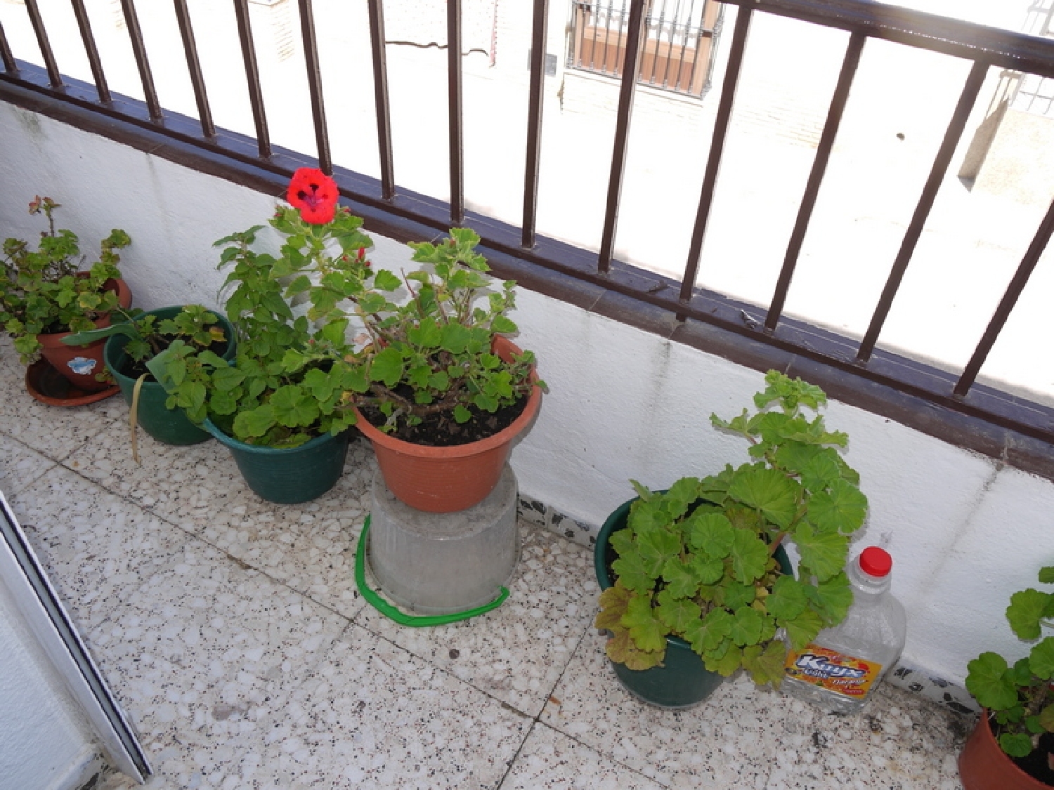  kaufen Villa Pruna Sierra Sur 9
