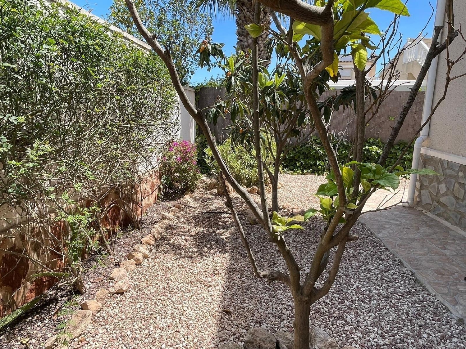  kaufen Villa Rojales Baix Segura 8