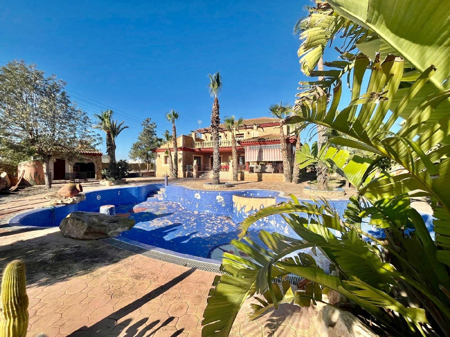  kaufen Villa Rojales Baix Segura 6