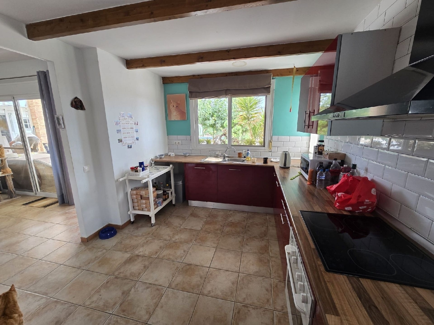  for sale villa Salinas Alt Vinalopó 20
