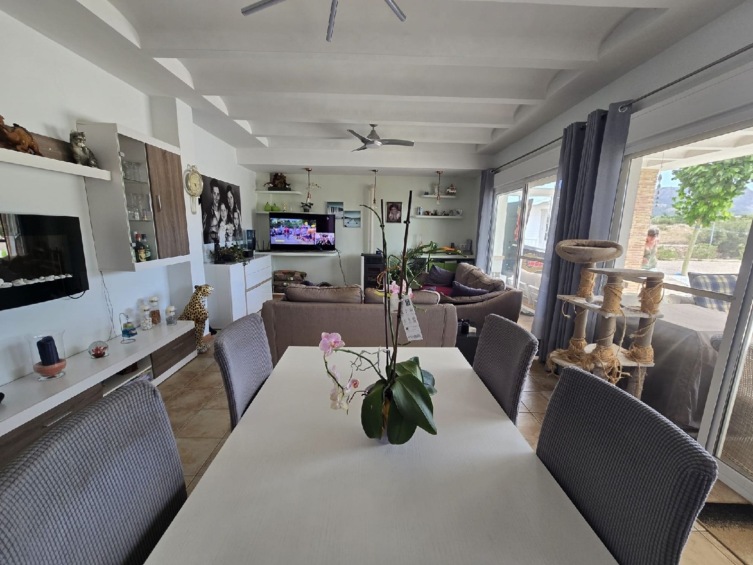  for sale villa Salinas Alt Vinalopó 12