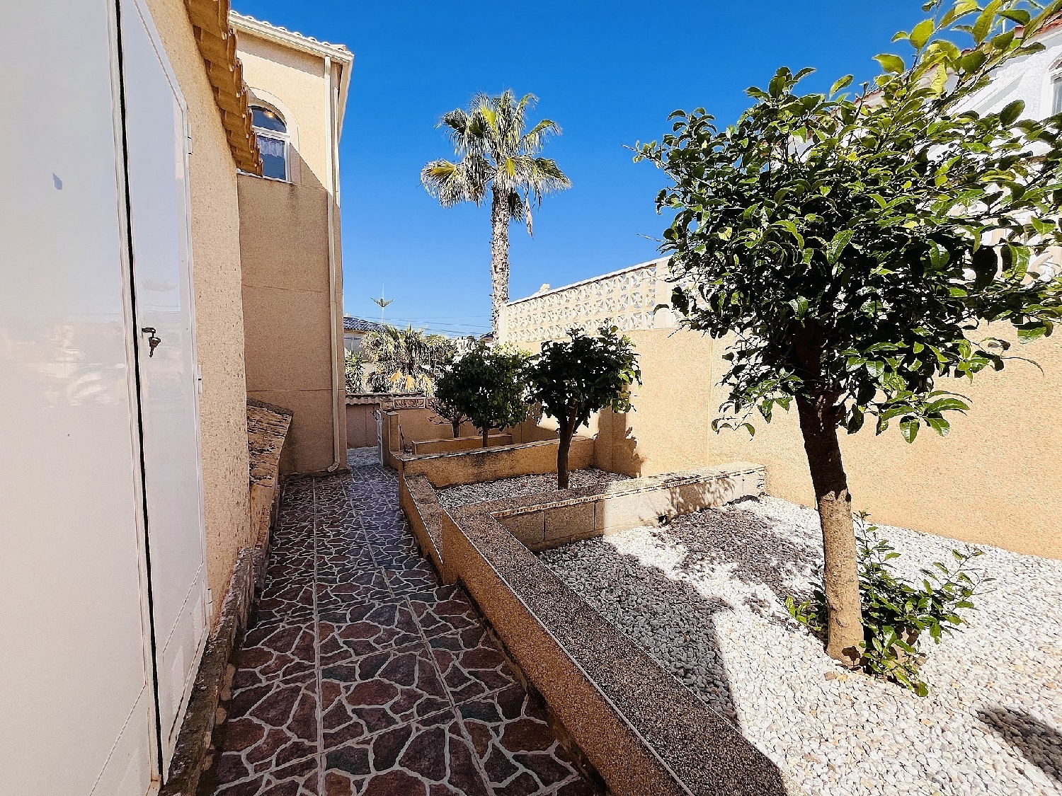  en venta chalet San Miguel De Salinas Baix Segura 38