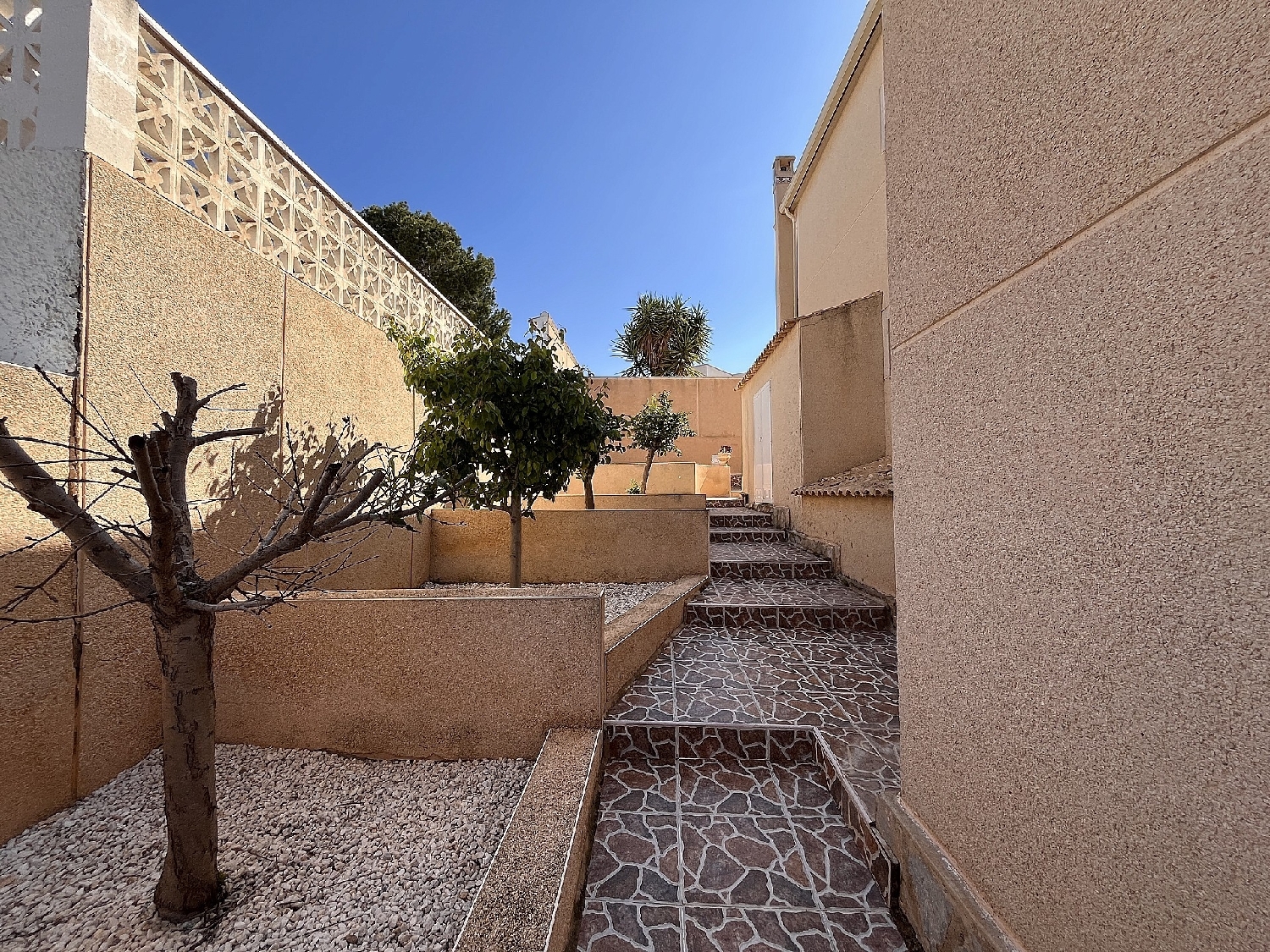  en venta chalet San Miguel De Salinas Baix Segura 37