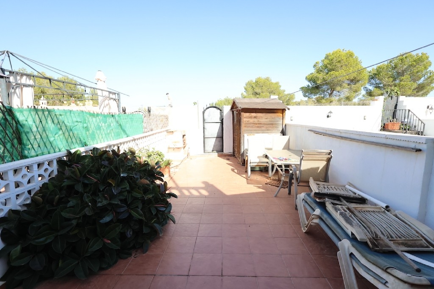 kaufen Villa San Miguel De Salinas Baix Segura 3