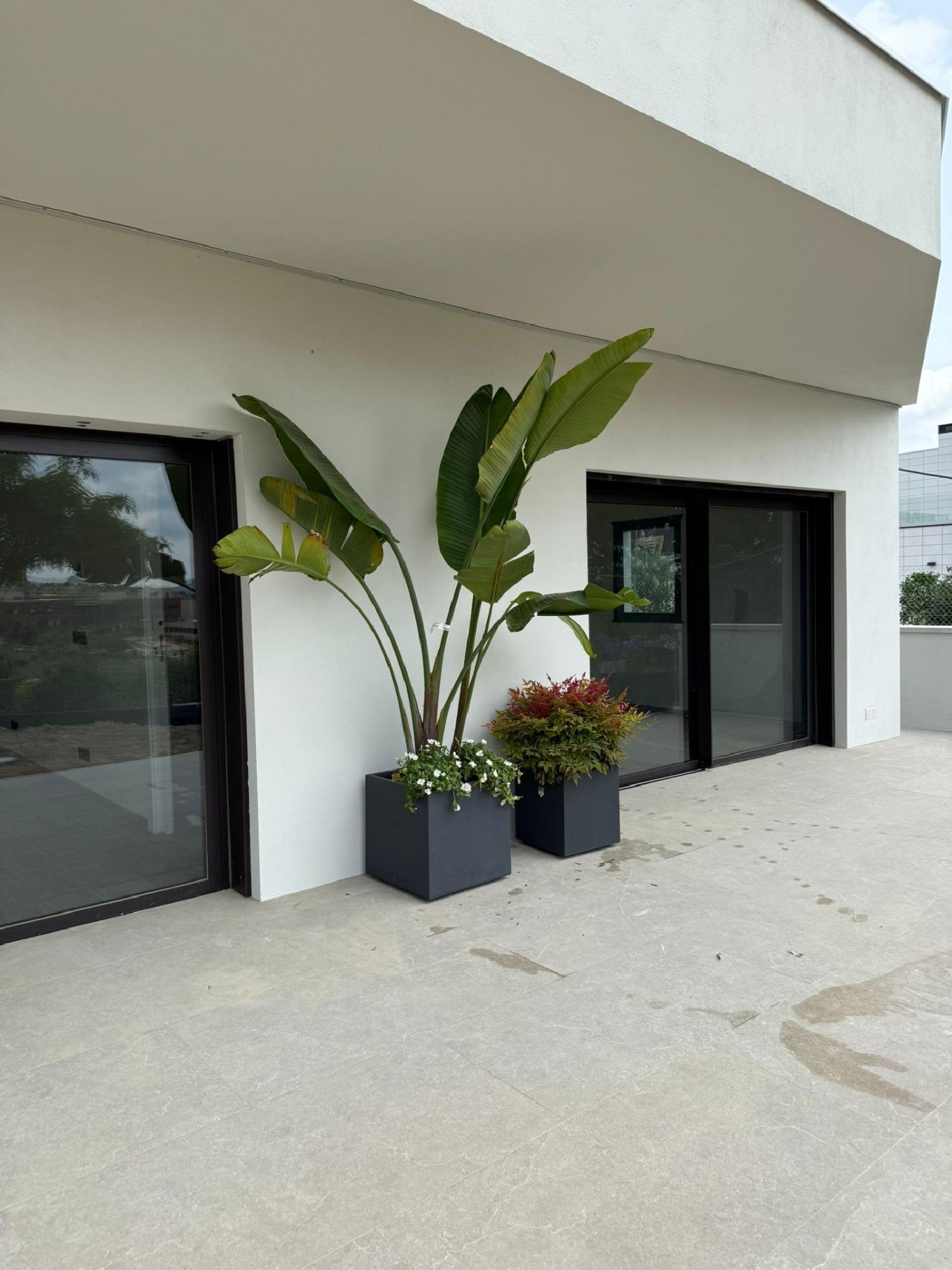  te koop villa Sant Esteve Sesrovires Baix Llobregat 5