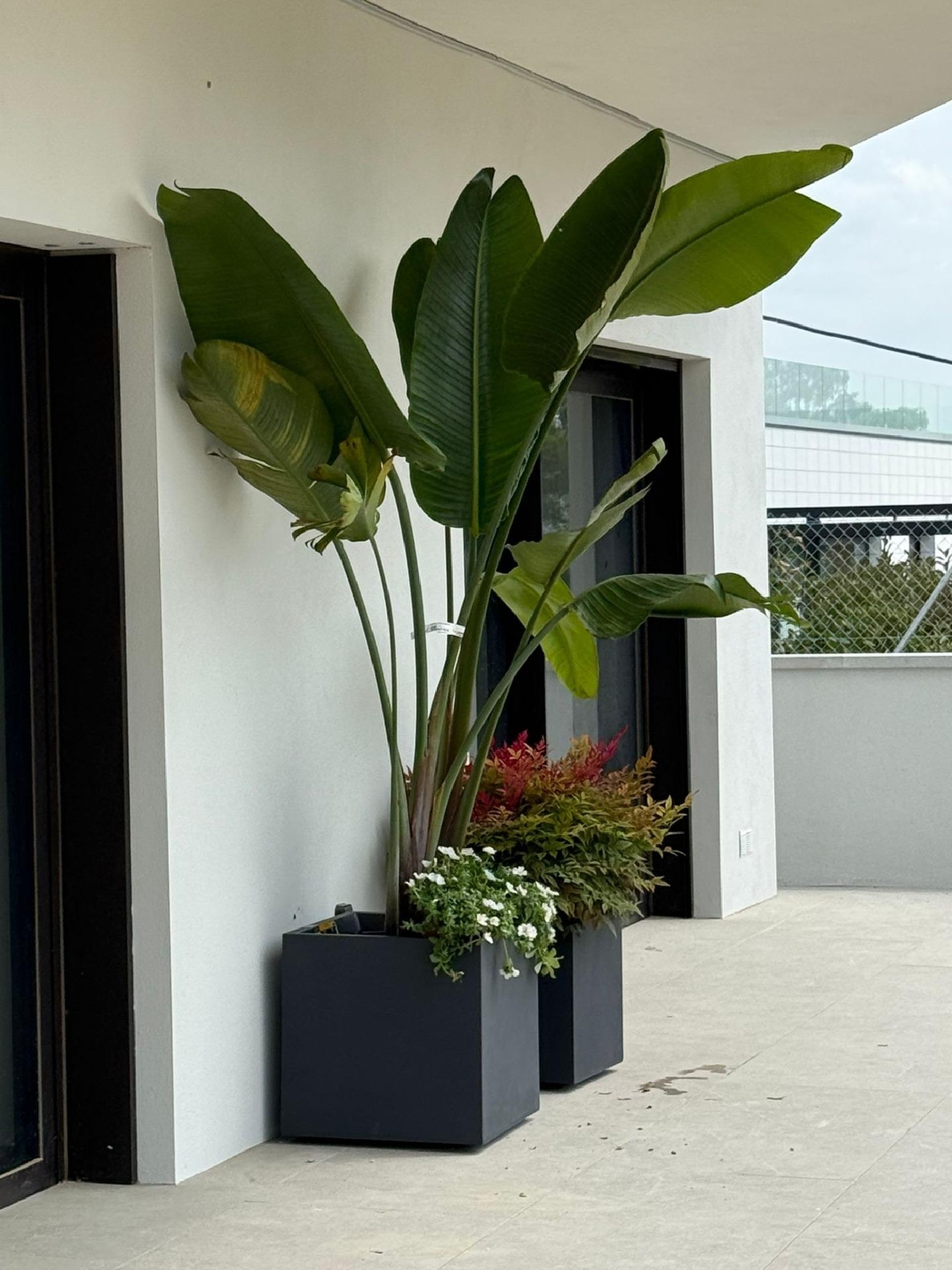  te koop villa Sant Esteve Sesrovires Baix Llobregat 8