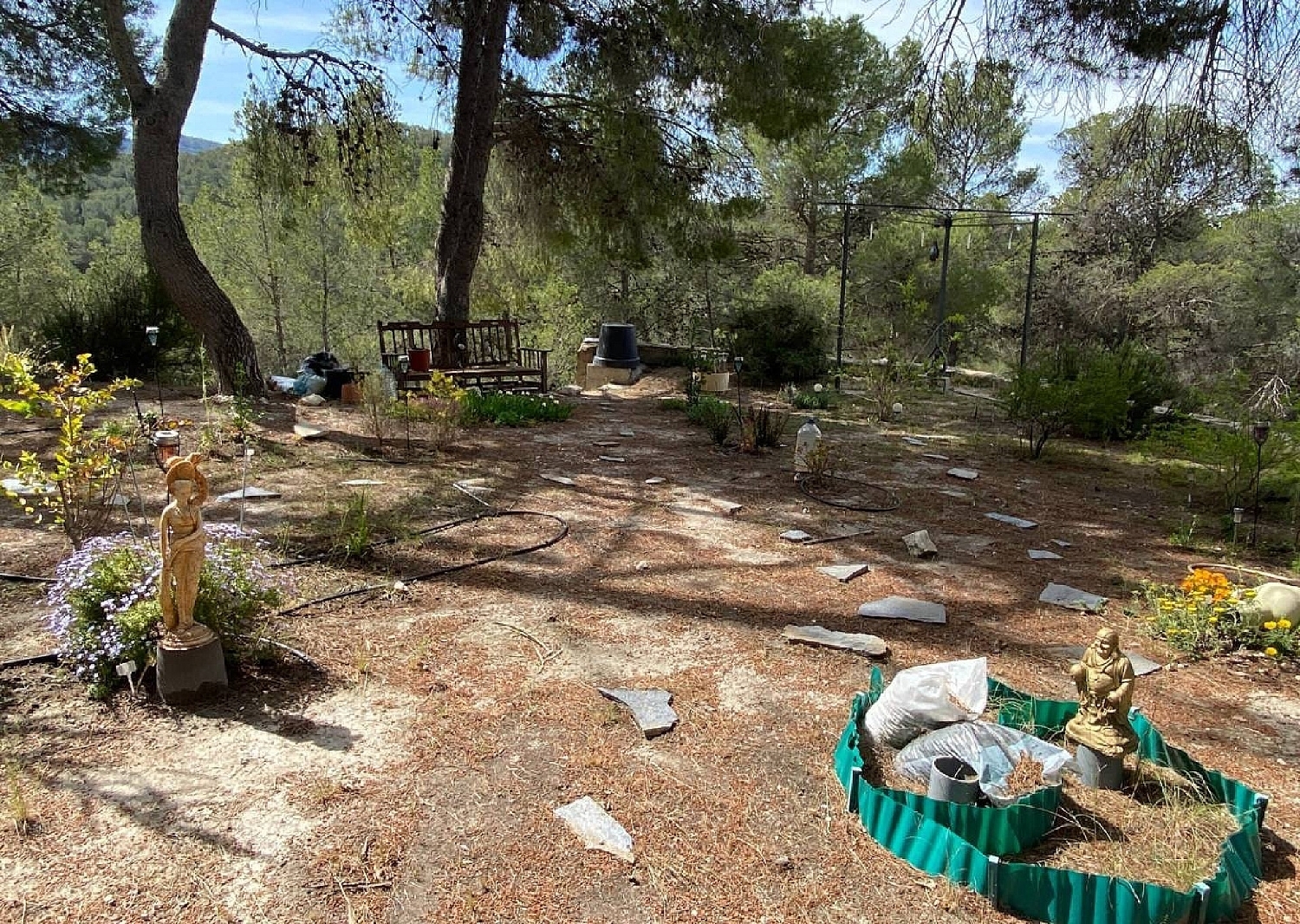  kaufen Villa Sax Alt Vinalopó 17
