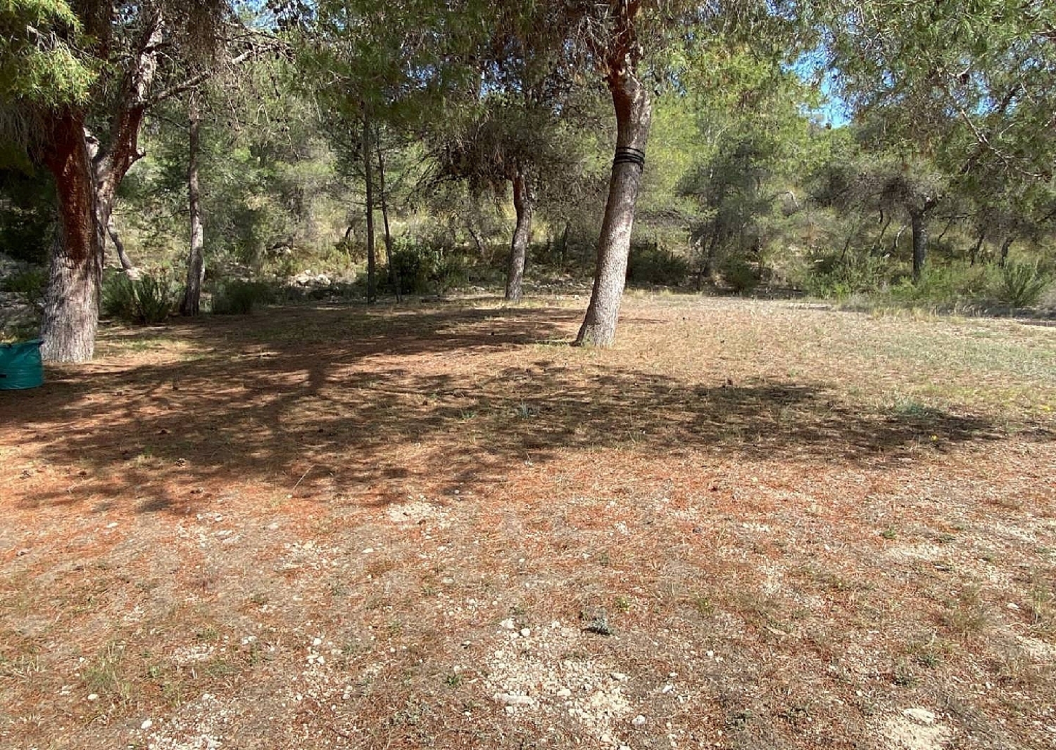  kaufen Villa Sax Alt Vinalopó 22