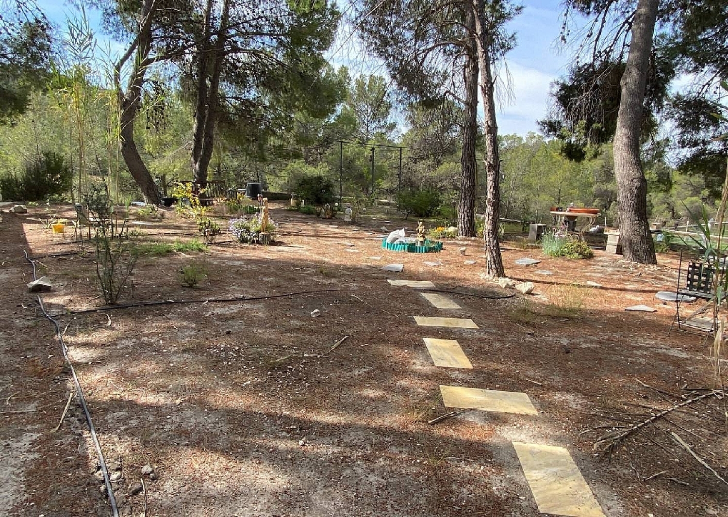  kaufen Villa Sax Alt Vinalopó 16