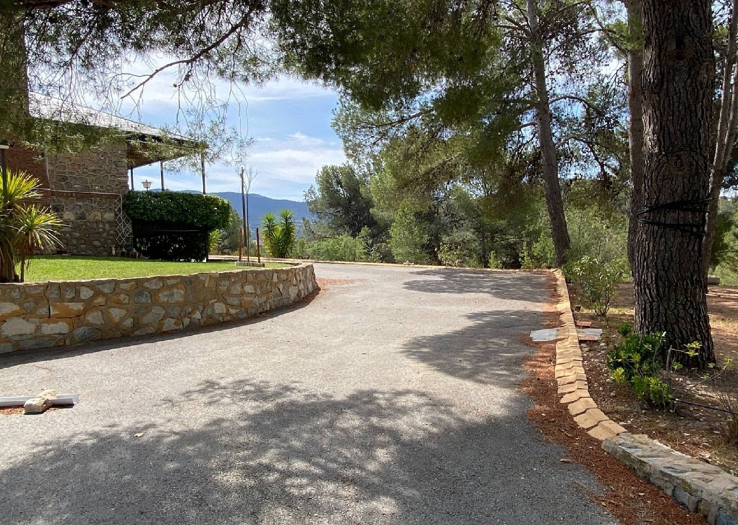  kaufen Villa Sax Alt Vinalopó 15