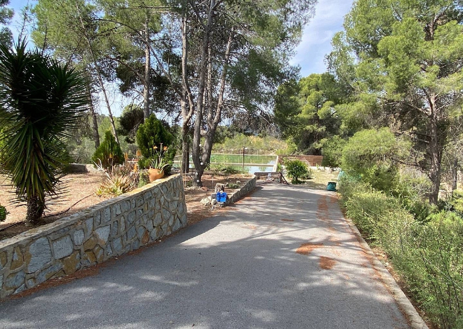 kaufen Villa Sax Alt Vinalopó 9