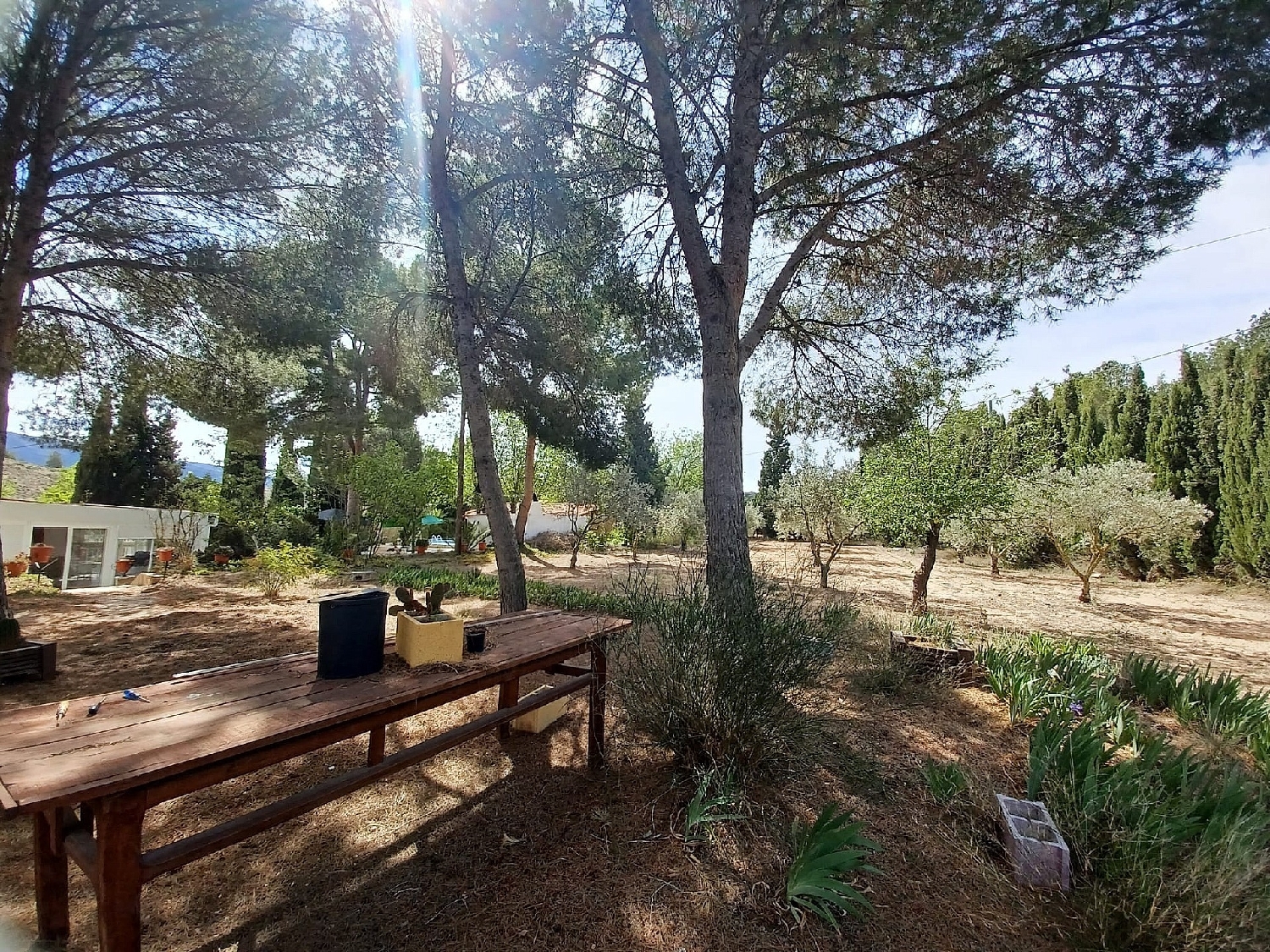 for sale villa Sax Alt Vinalopó 20