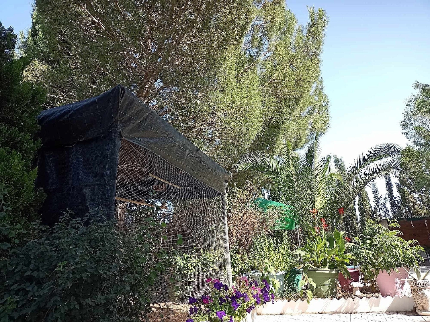  for sale villa Sax Alt Vinalopó 17