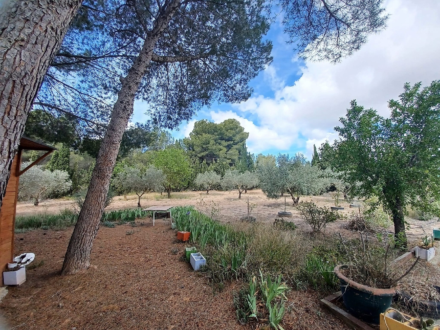  for sale villa Sax Alt Vinalopó 23