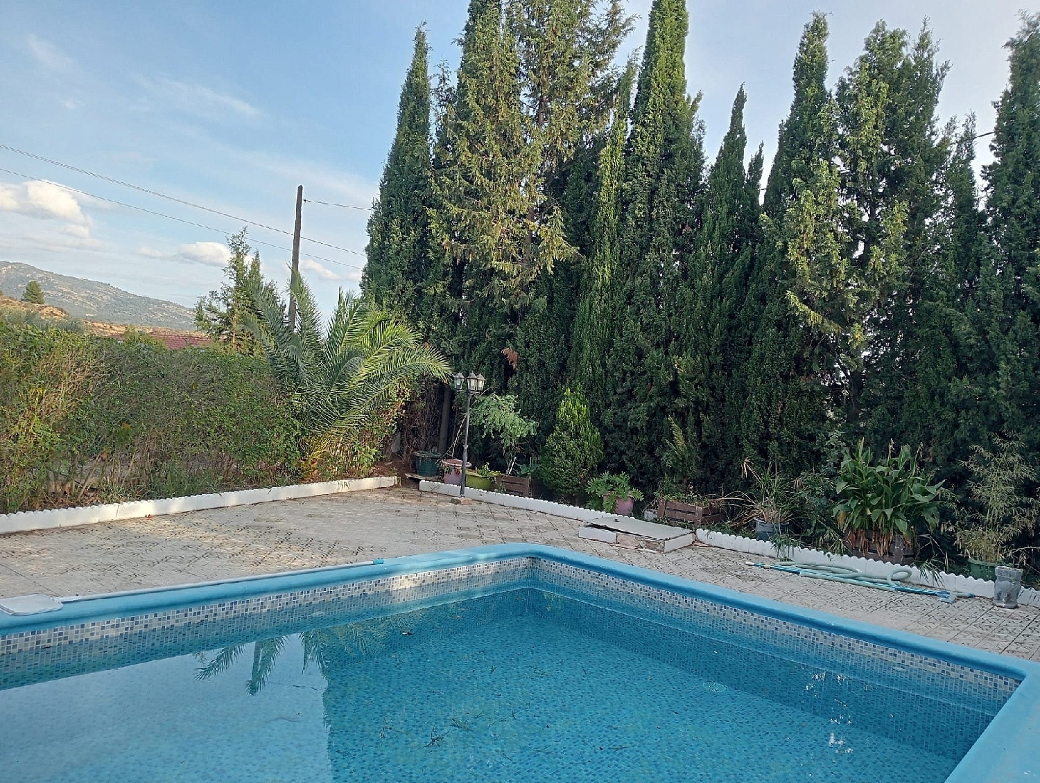  for sale villa Sax Alt Vinalopó 18