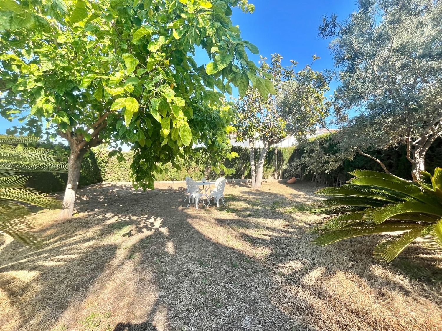  te koop villa Torrevieja Baix Segura 6