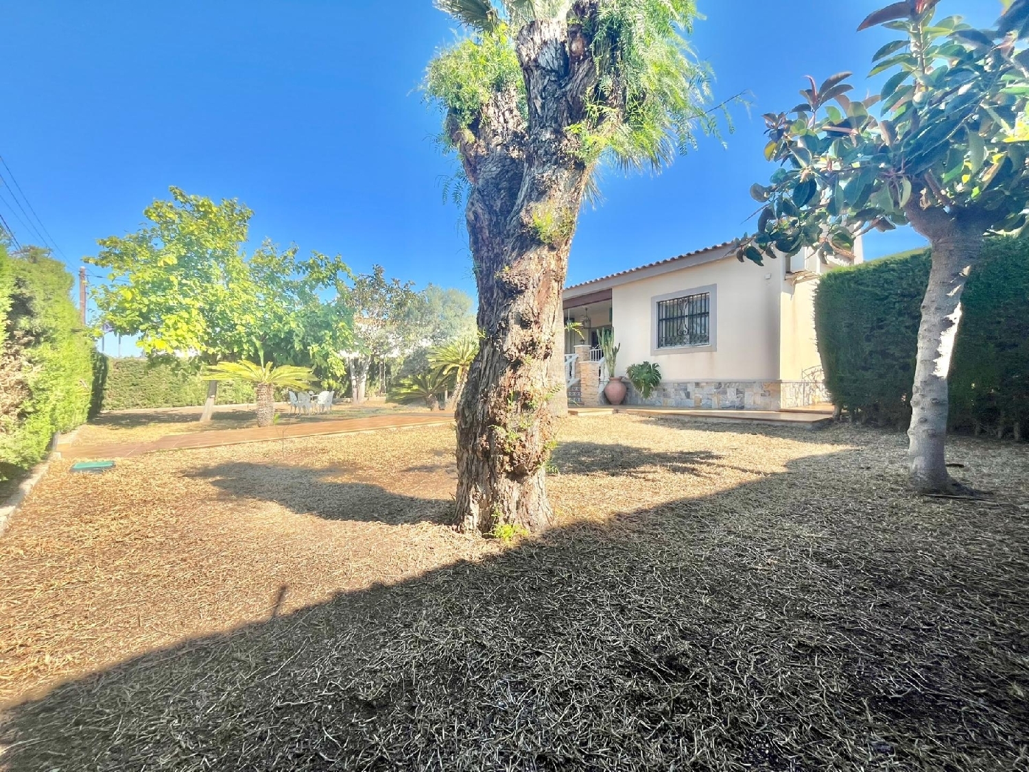  te koop villa Torrevieja Baix Segura 5