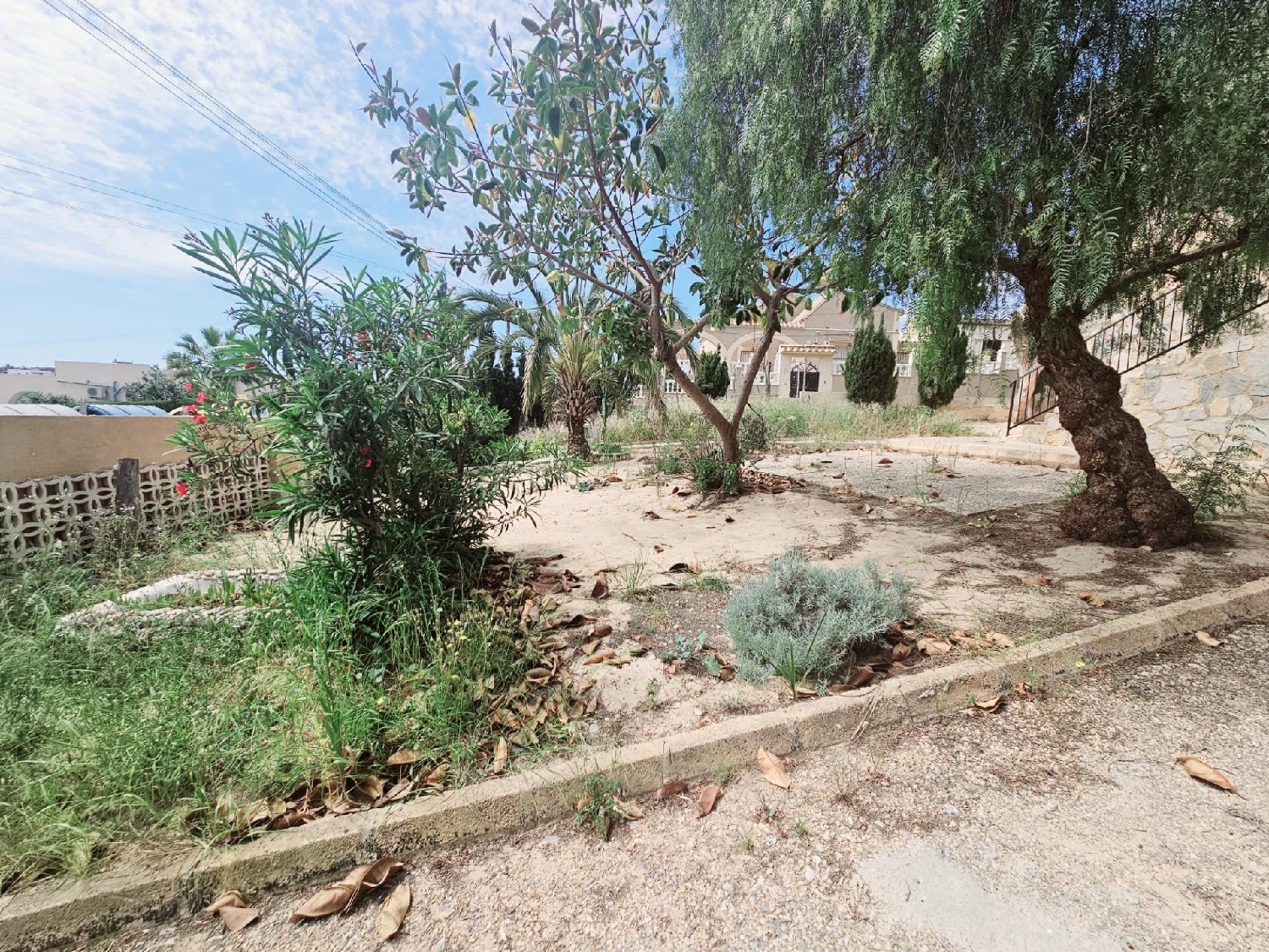  à vendre villa Torrevieja Baix Segura 4