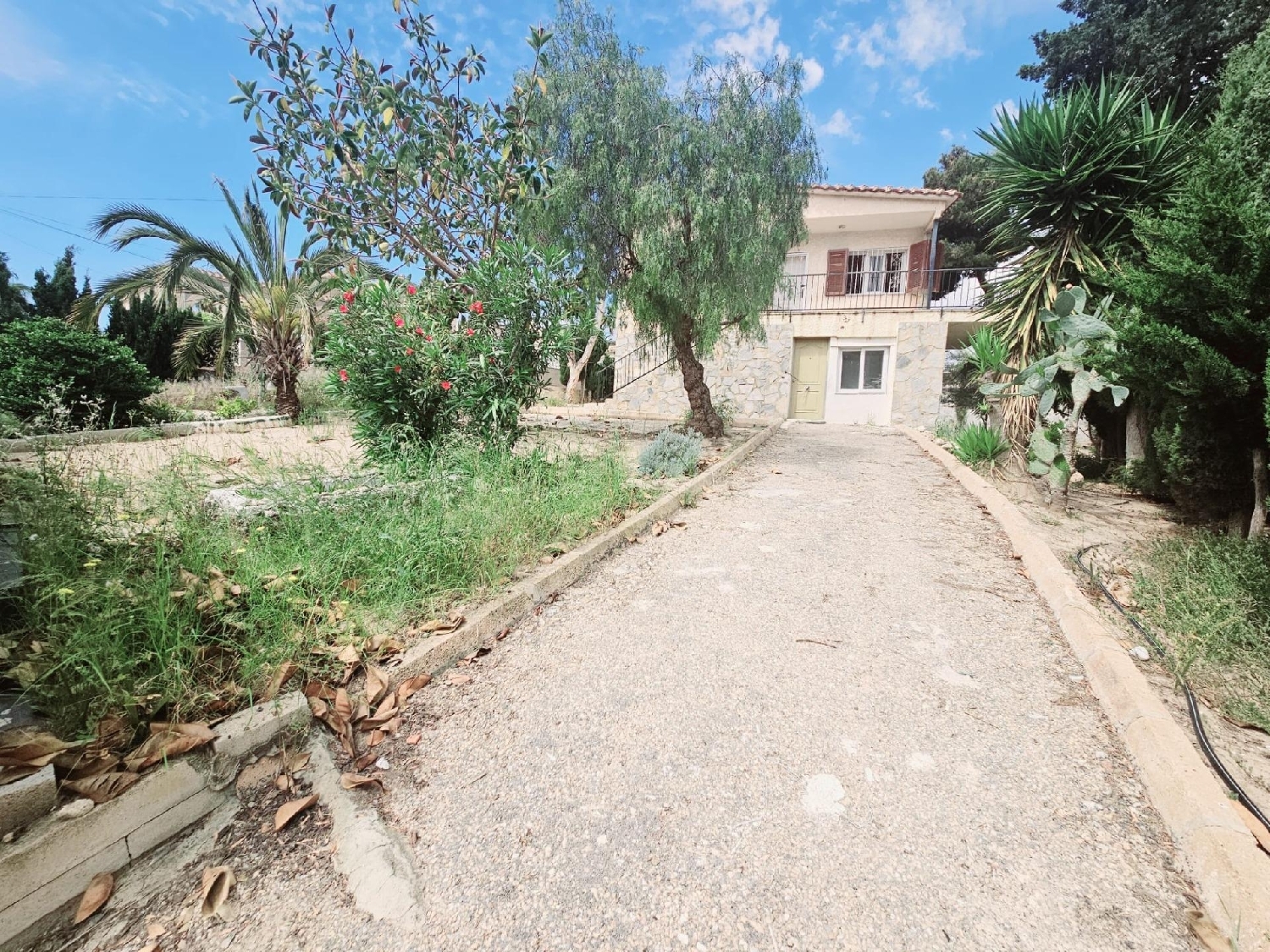 à vendre villa Torrevieja Baix Segura 3