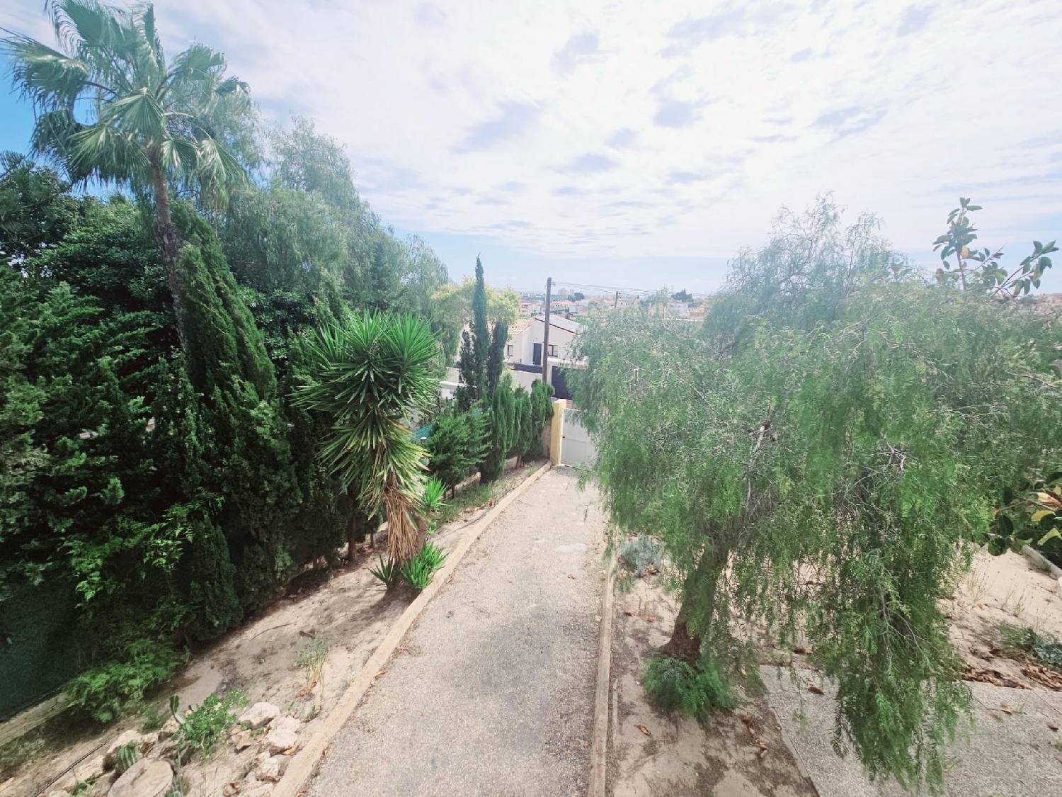  à vendre villa Torrevieja Baix Segura 5