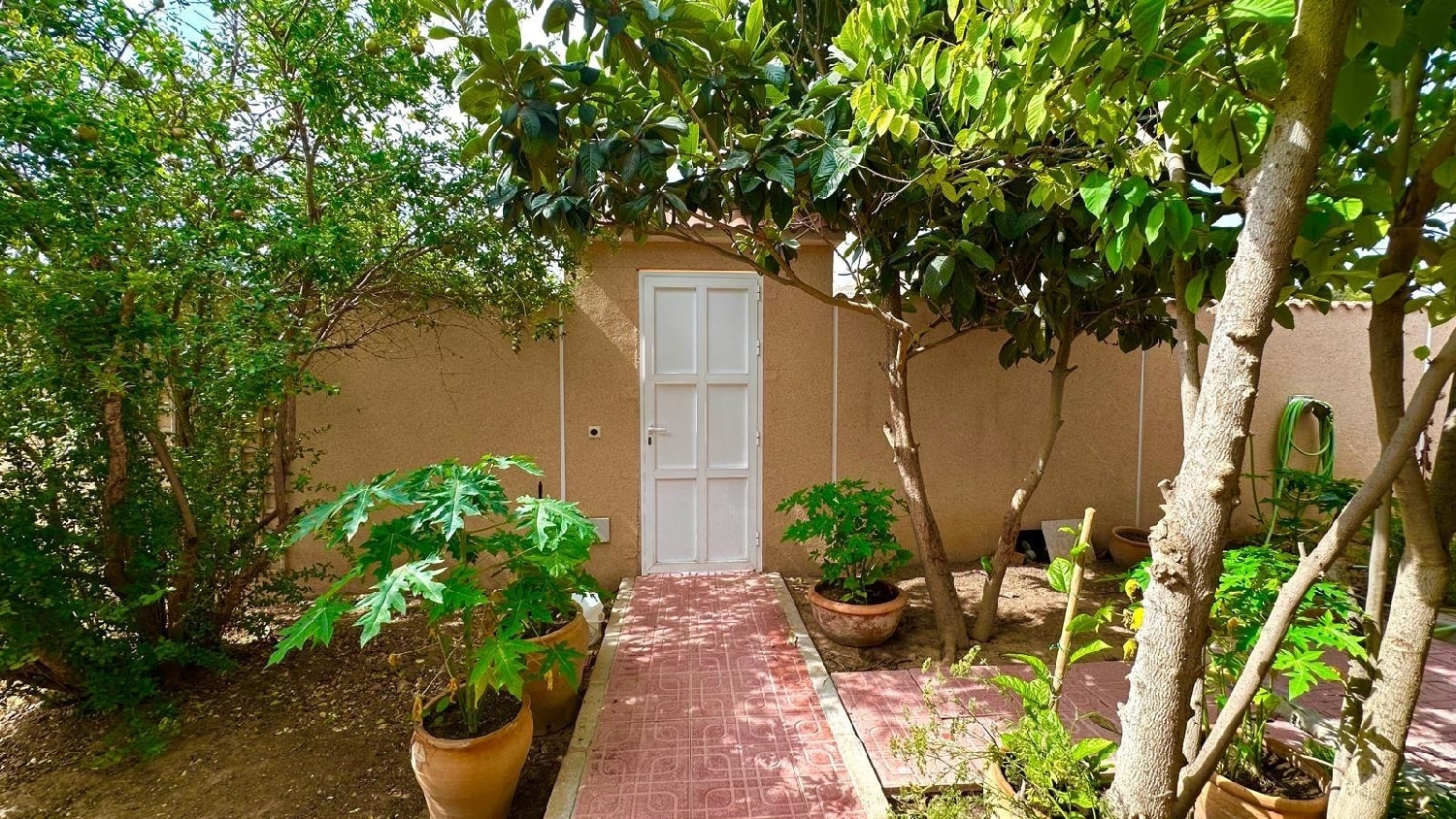  for sale villa Torrevieja Baix Segura 3