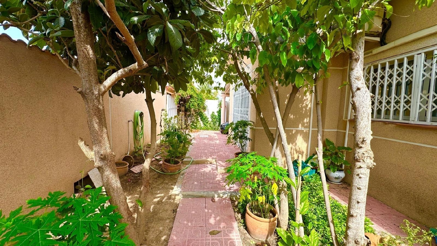  for sale villa Torrevieja Baix Segura 4
