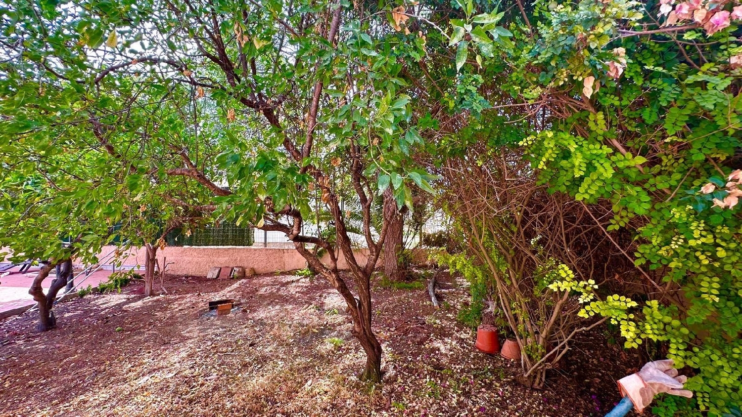  for sale villa Torrevieja Baix Segura 7