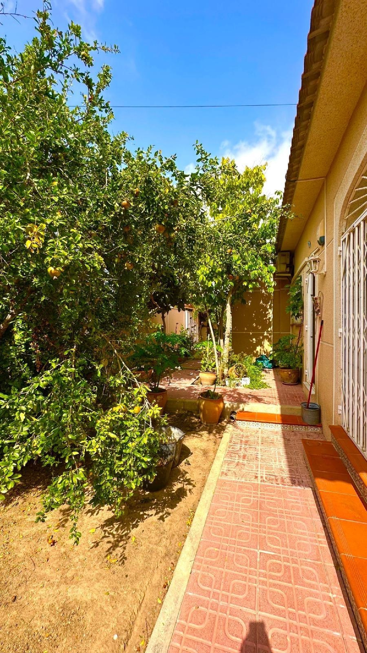 for sale villa Torrevieja Baix Segura 6
