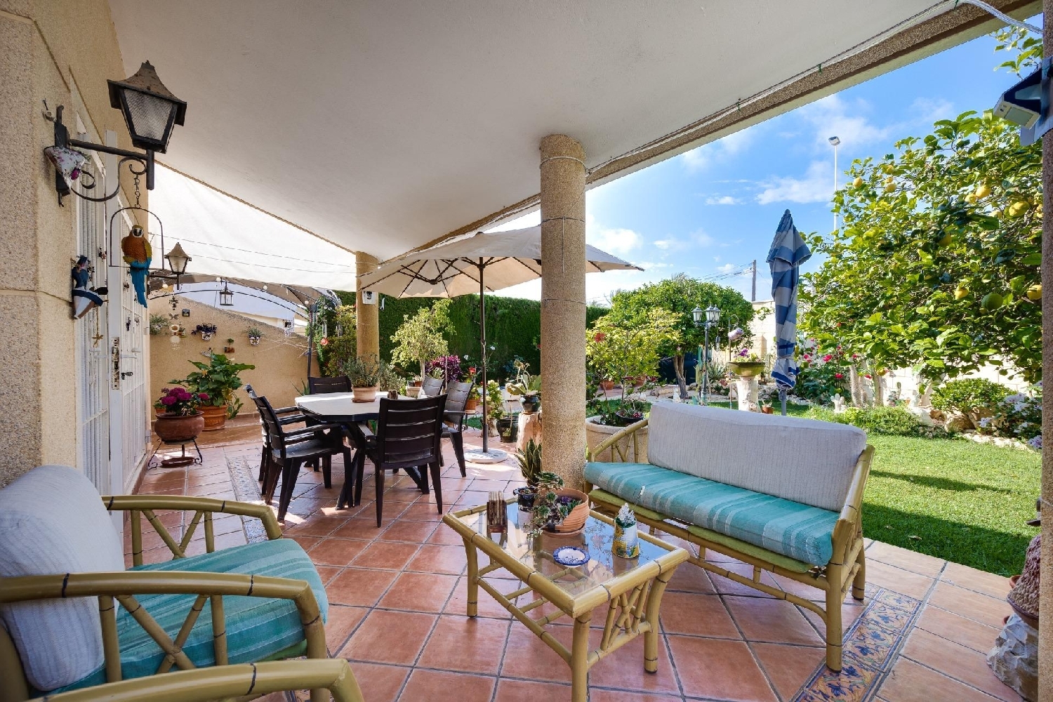 à vendre villa Torrevieja Baix Segura 3