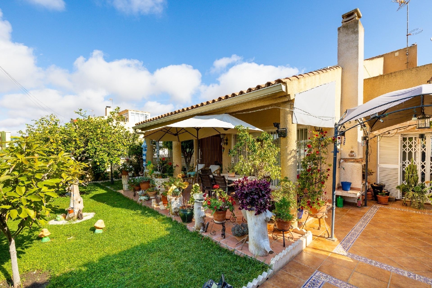  à vendre villa Torrevieja Baix Segura 1
