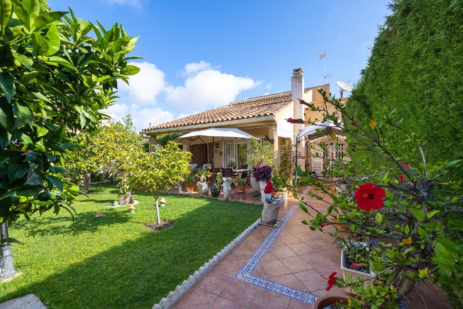 à vendre villa Torrevieja Baix Segura 2