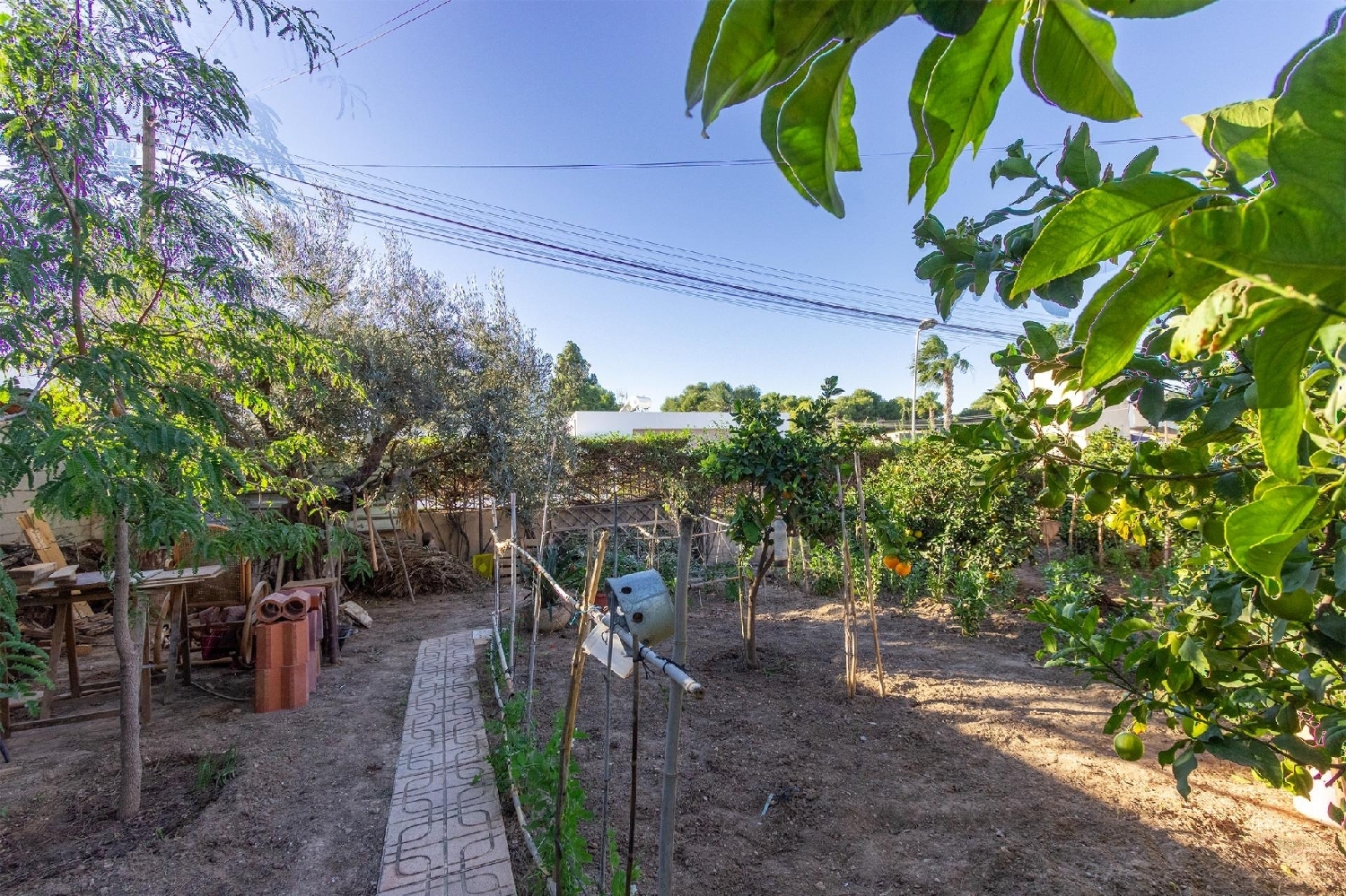  à vendre villa Torrevieja Baix Segura 5