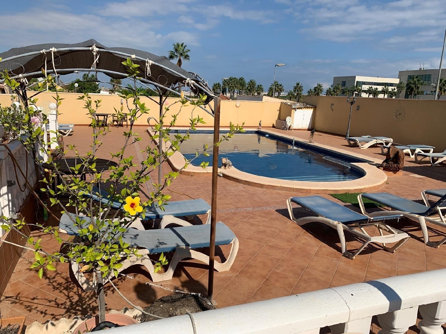  à vendre villa Torrevieja Baix Segura 4