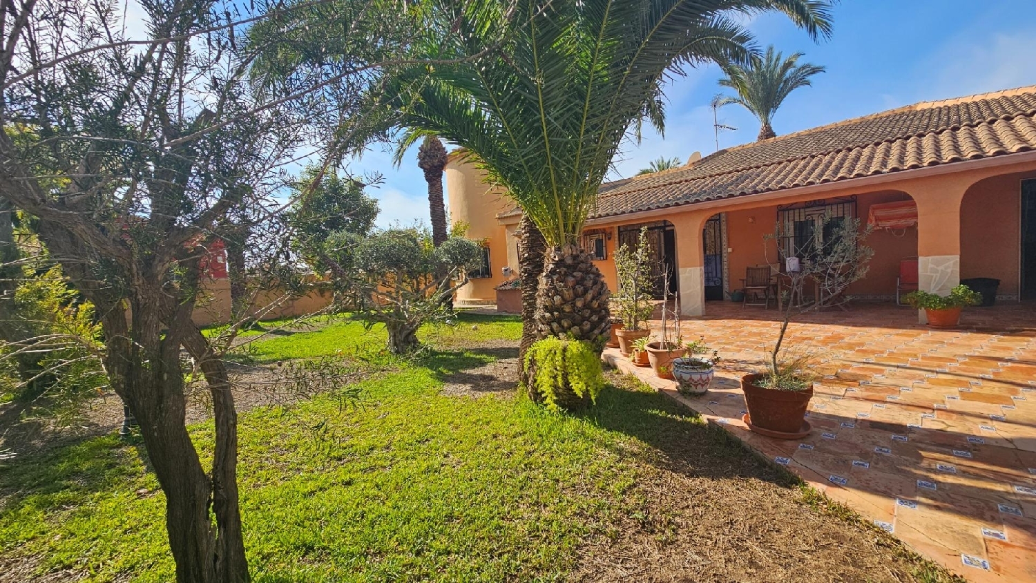  à vendre villa Torrevieja Baix Segura 1