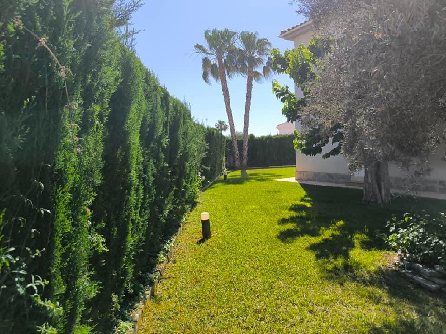  kaufen Villa Torrevieja Baix Segura 8
