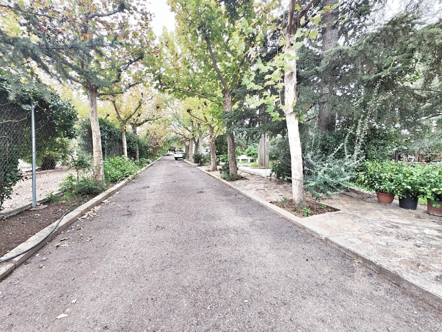 à vendre villa Urb. Ciudad Jardín Campo De Calatrava 3