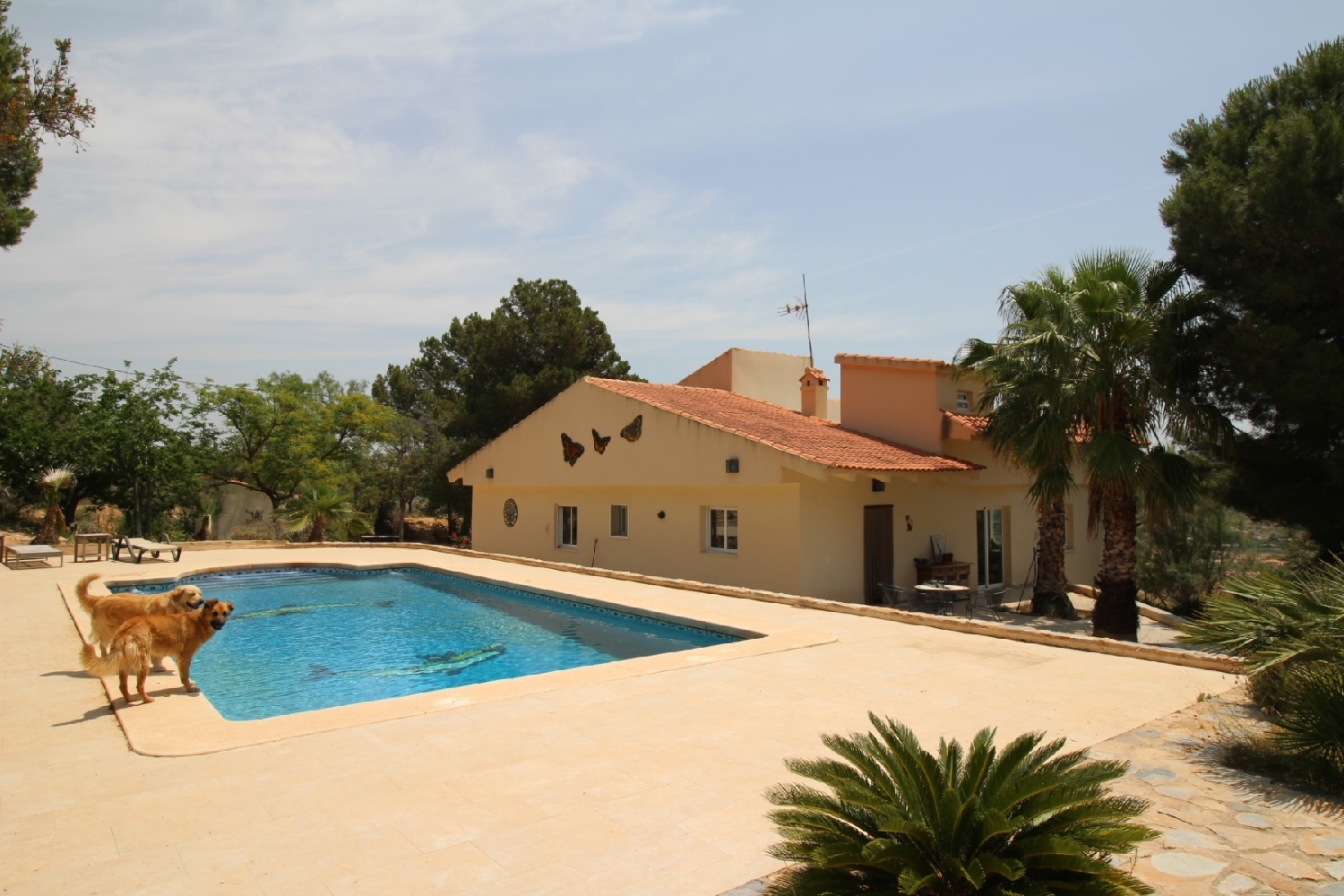  en venta chalet Urbanización Residencial Montañosa Vinalopó Mitjà 5