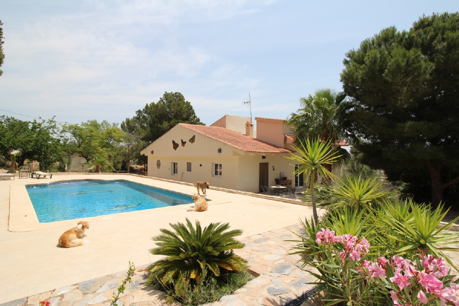  en venta chalet Urbanización Residencial Montañosa Vinalopó Mitjà 1