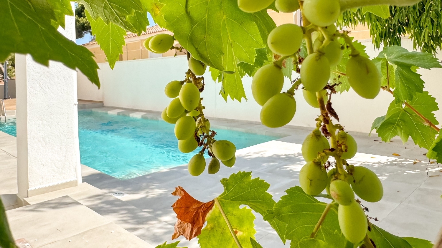  à vendre villa Urbanizacion Altos De Escucha Llanos De Albacete 3