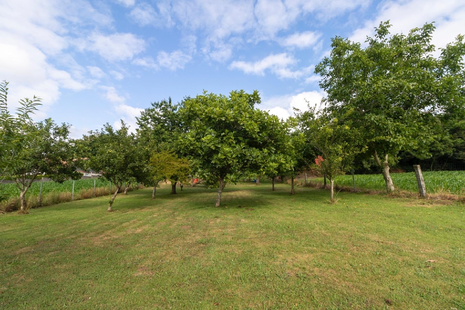  en venta chalet Valdoviño Ferrol 7