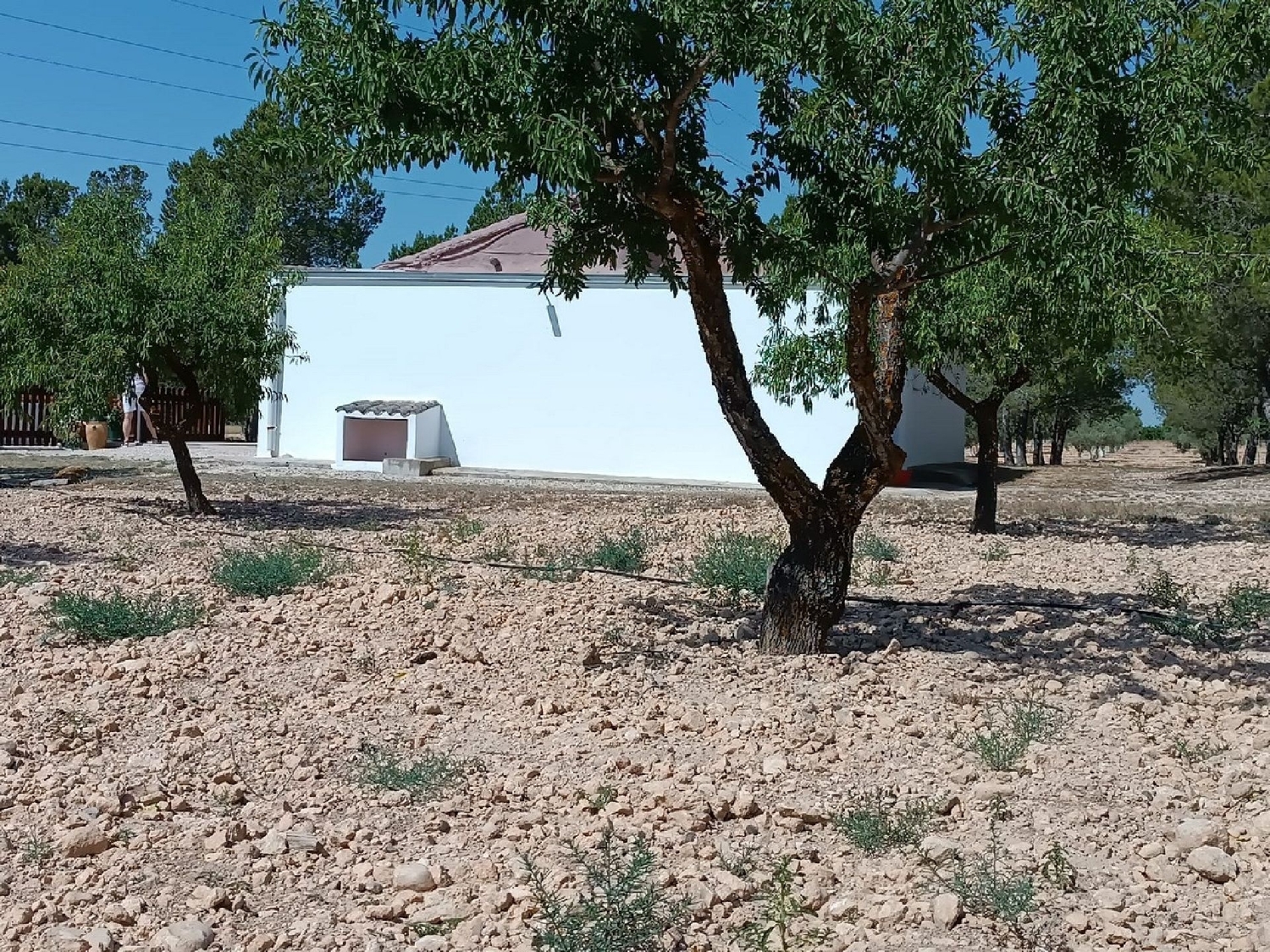  kaufen Villa Yecla Altiplano 23