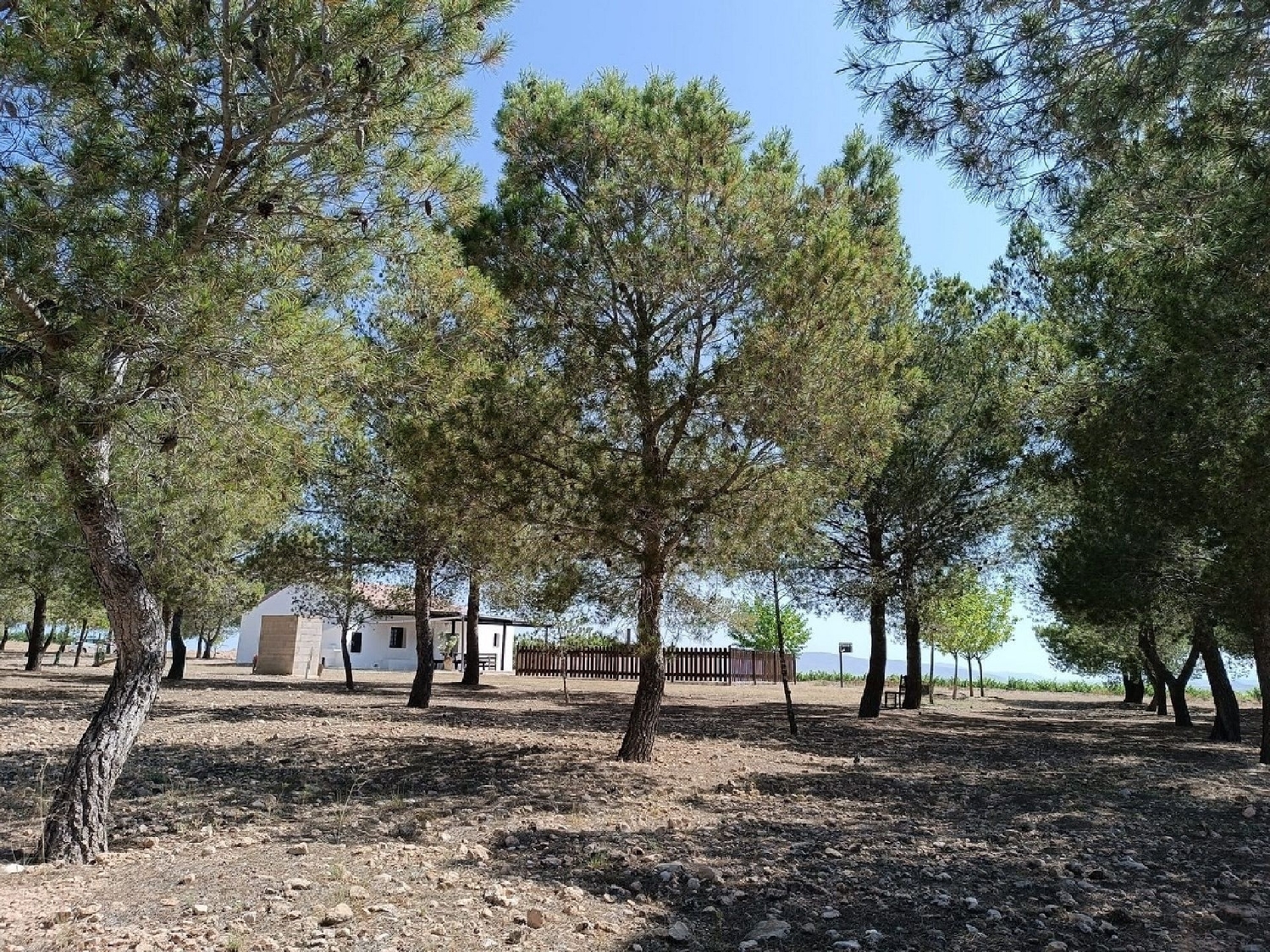  kaufen Villa Yecla Altiplano 30