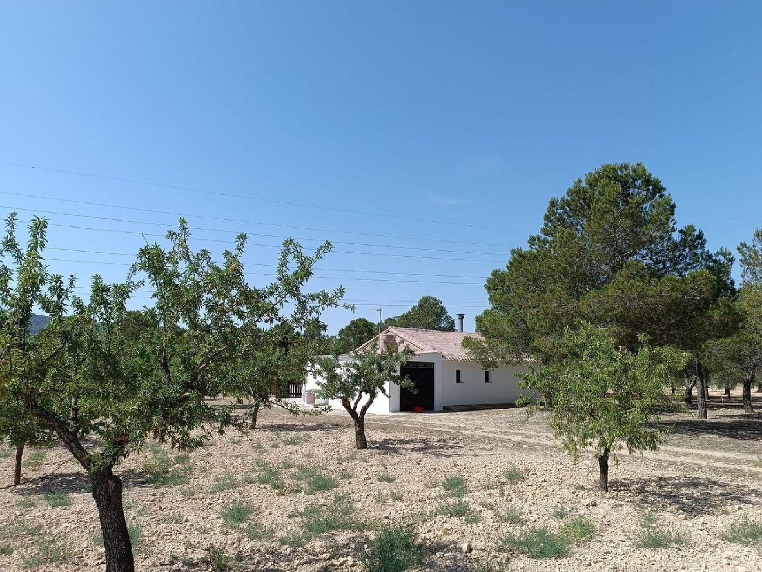  kaufen Villa Yecla Altiplano 24