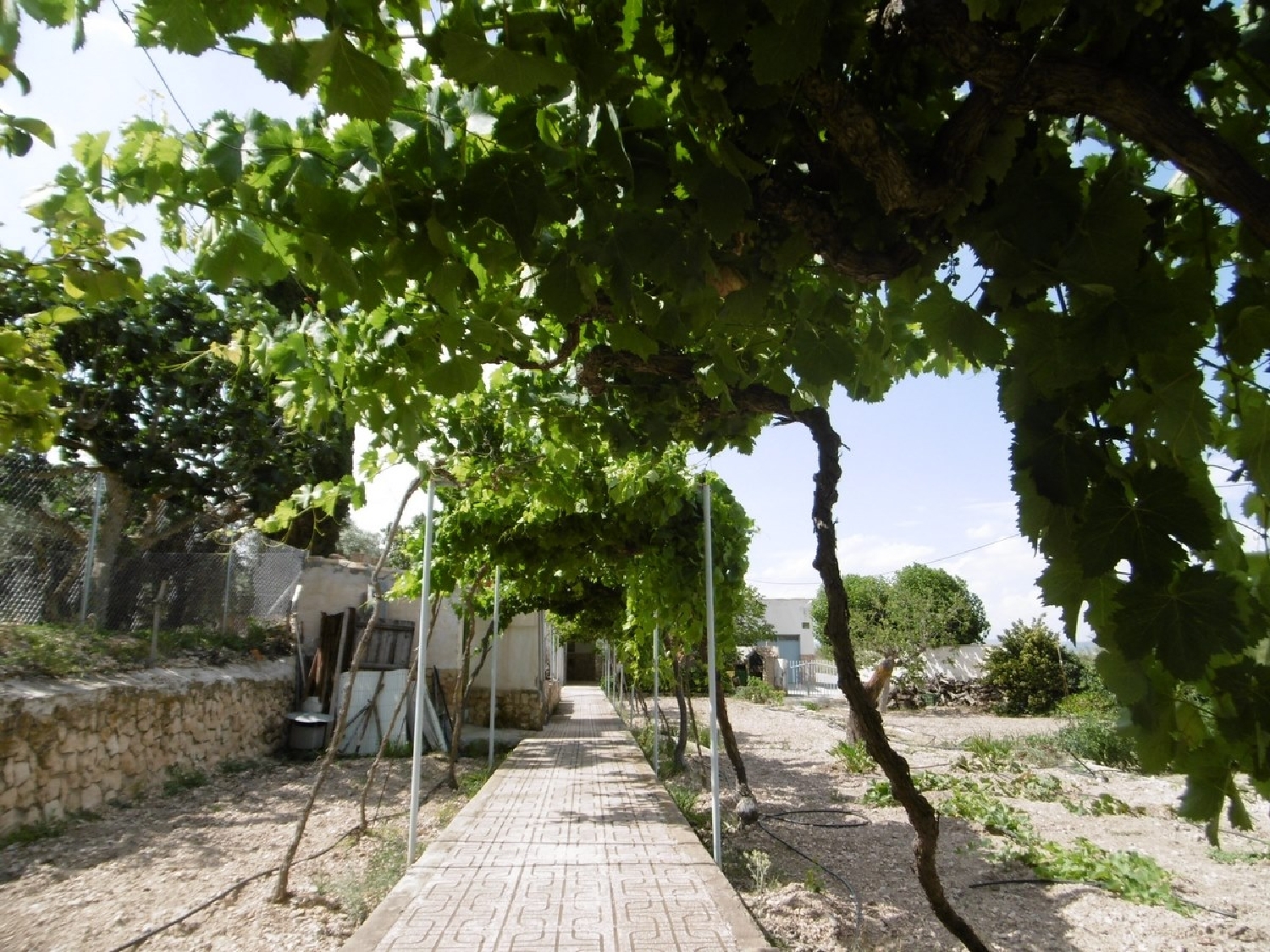  à vendre villa Yecla Altiplano 2