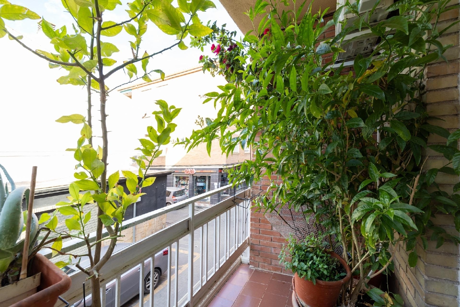  for sale apartment Albolote Vega De Granada 5