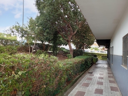 Algeciras Casco Antiguo Campo De Gibraltar apartment foto 6286465